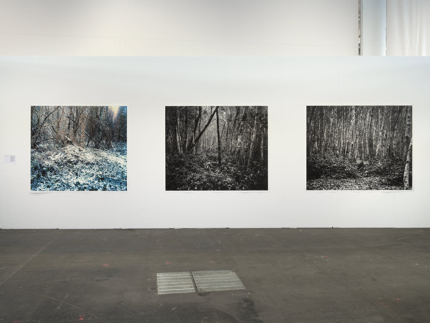 Exhibition view (Ester Vonplon)